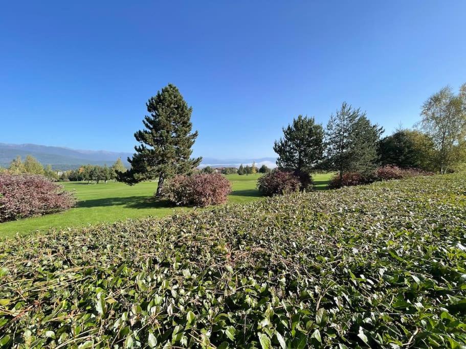 Appartamento Pirin Golf Mountain View Retreat Razlog Esterno foto